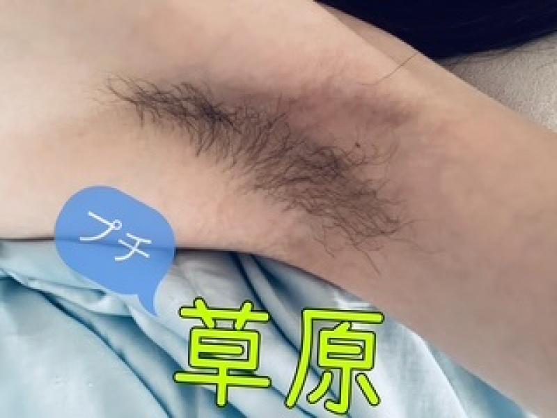 出品者名-写真-1